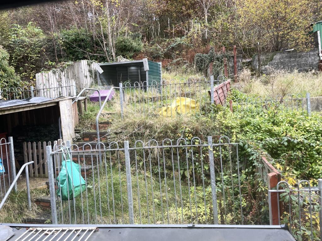 IMG 3810 T202411131337.jpeg