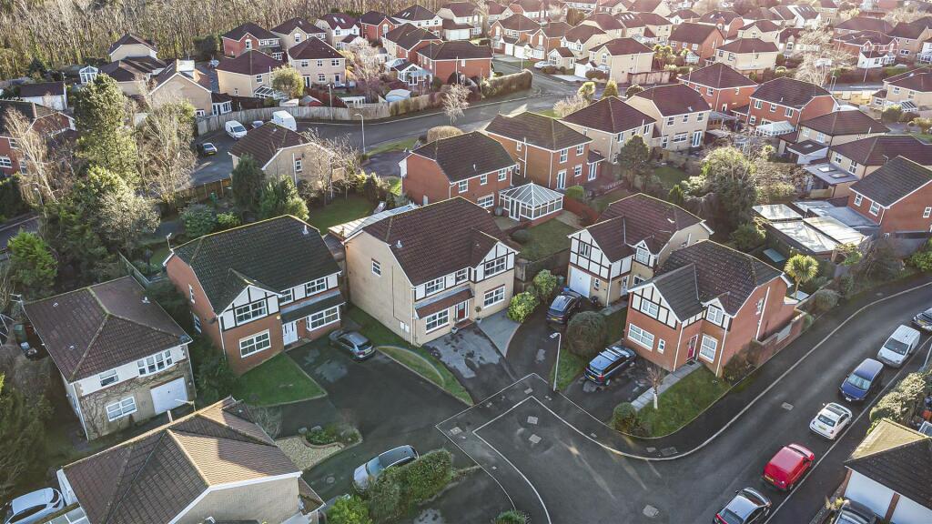 35-DJI_0009.jpg