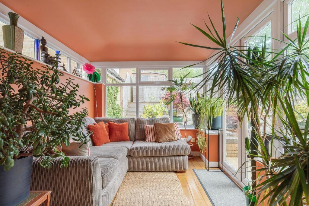 201719_443579_IMG...