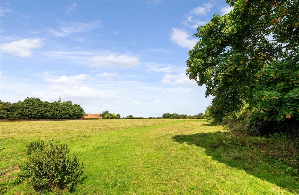 Hales Common