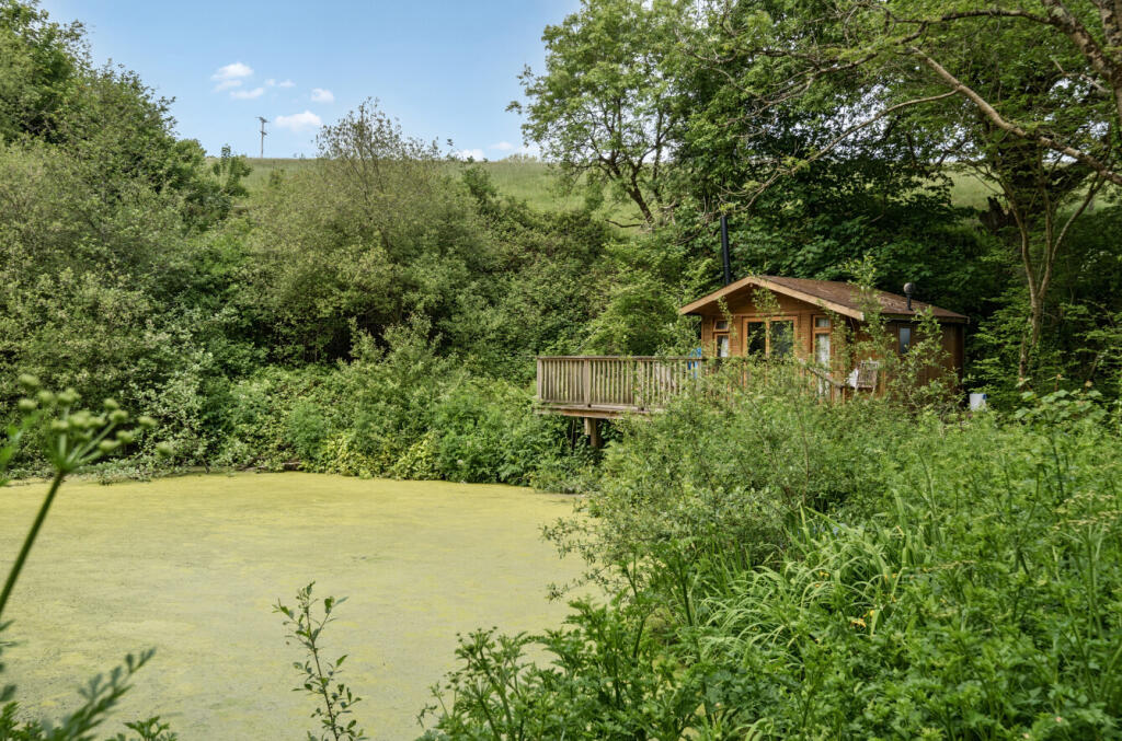 Cabin On Pond