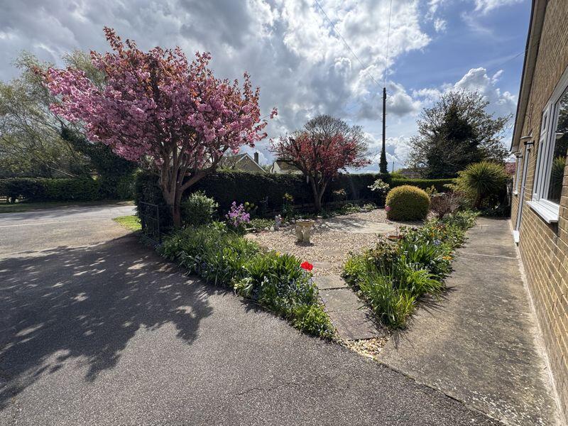 Front garden