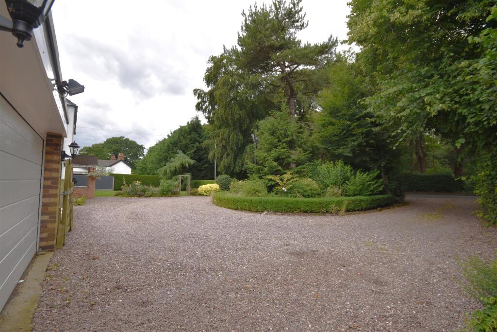 DSC_0162 - Copy (2).JPG