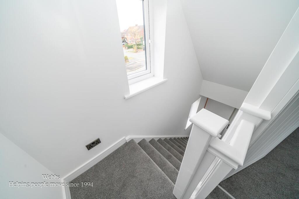 Webbs-57.JPG