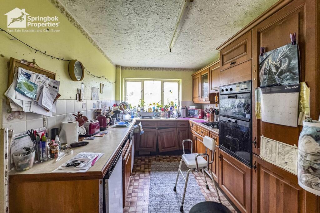 IMAGE 6