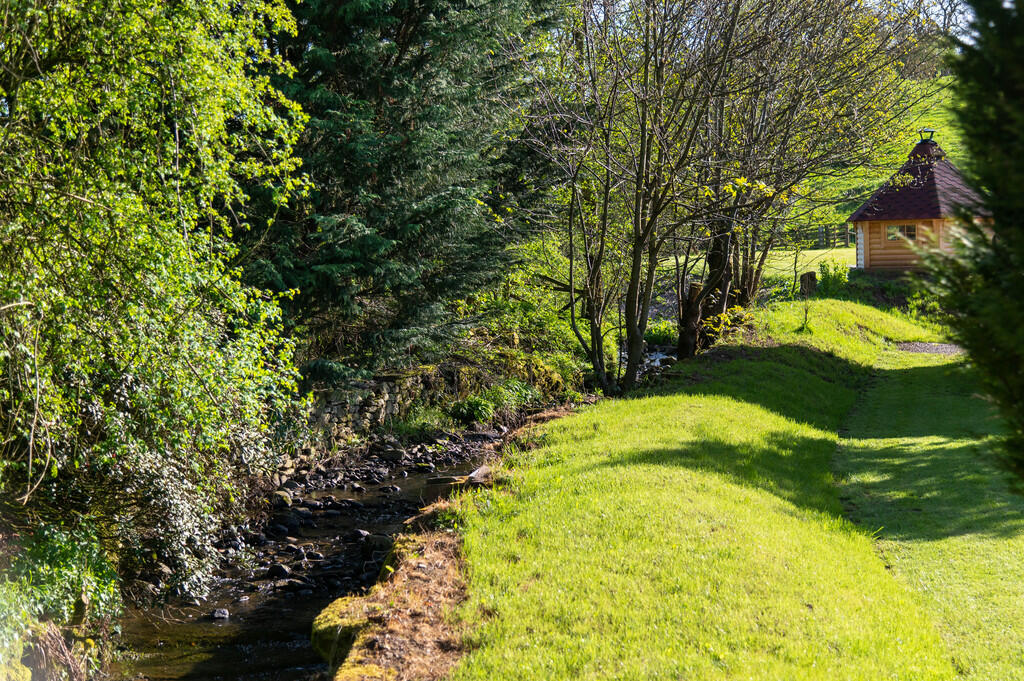 Stream