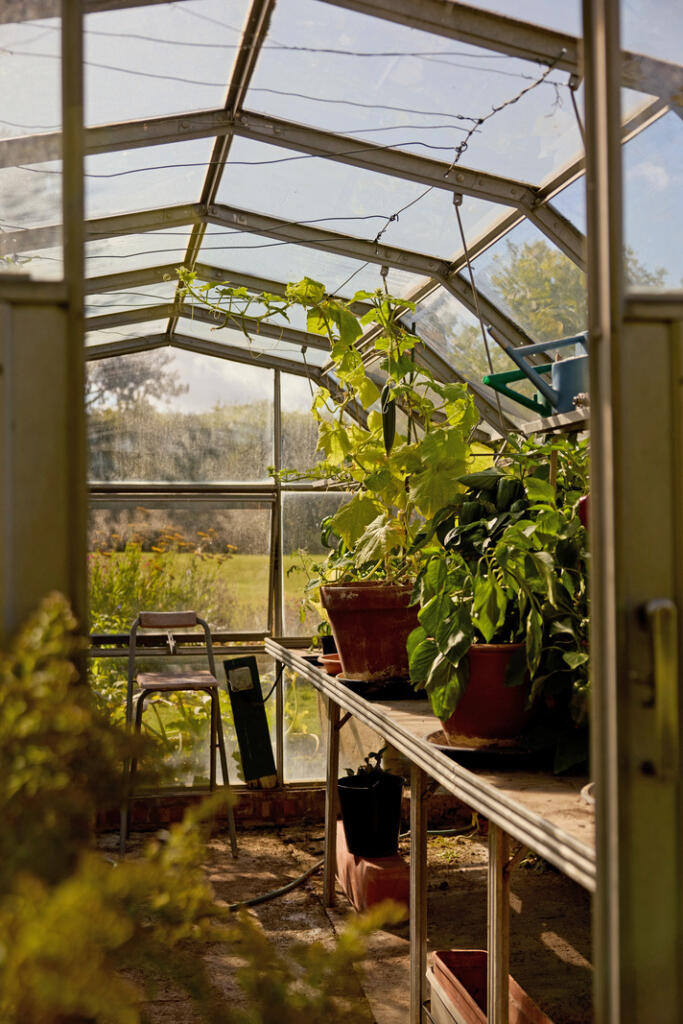 309809 - a0OP60000062S81MAE_N20.jpg