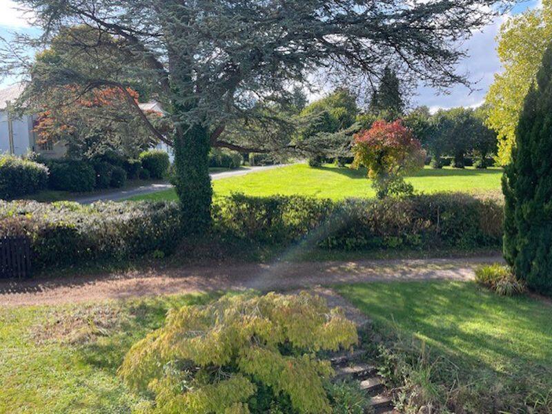 View from garden 