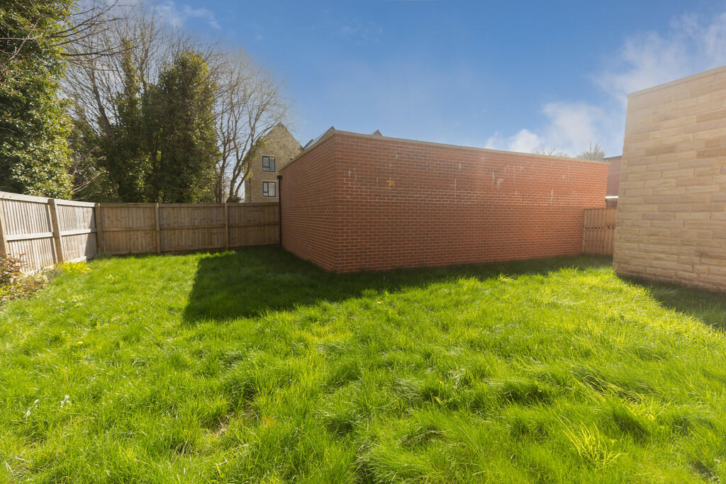 Back Garden 