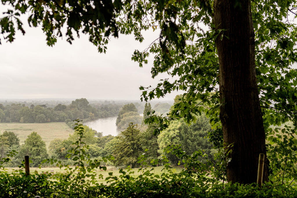 236292 - TMH_HILLBROW-211.jpg