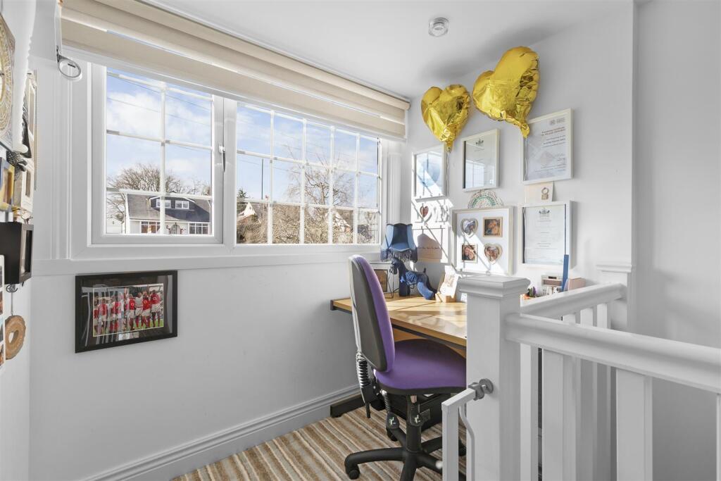 Study Area