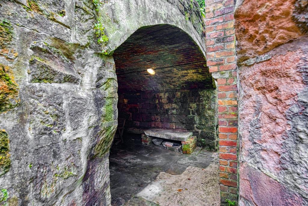 The Cave