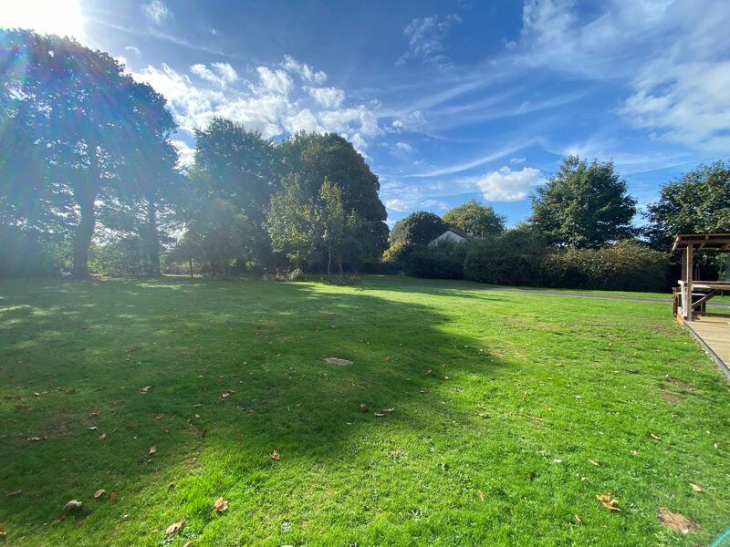 Back garden