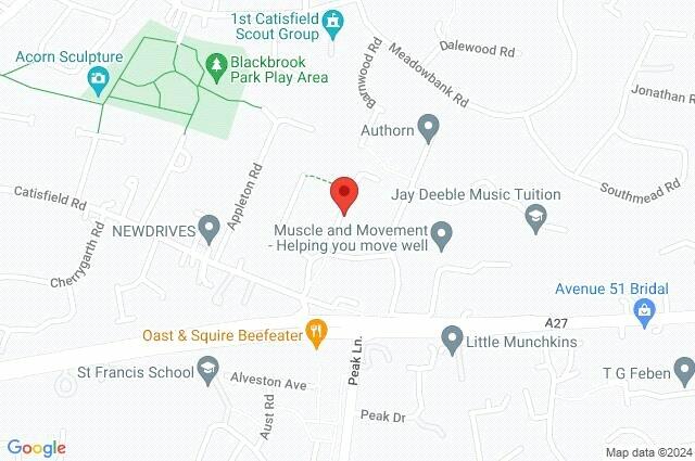 Google Maps Image