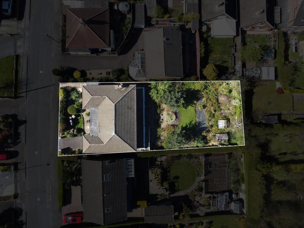 Drone of Plot