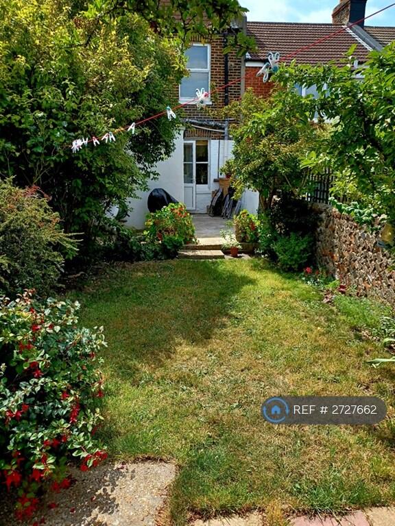 Garden In Summer 2023