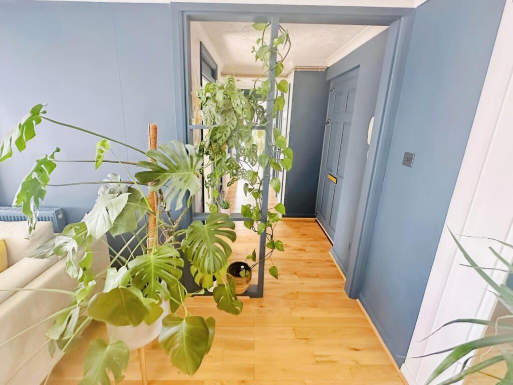 a16d9371-SC 2016.jpg