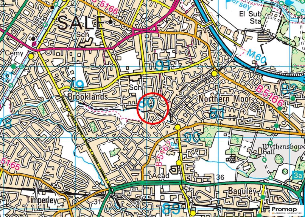 Town Plan