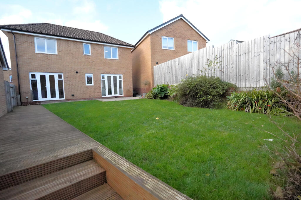 External Back P1.jpeg