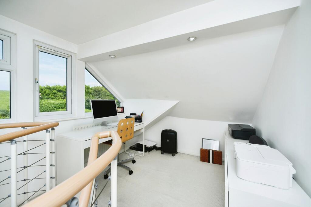 Study Area