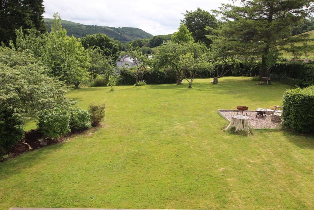 garden.JPG
