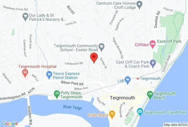 Google Maps Image