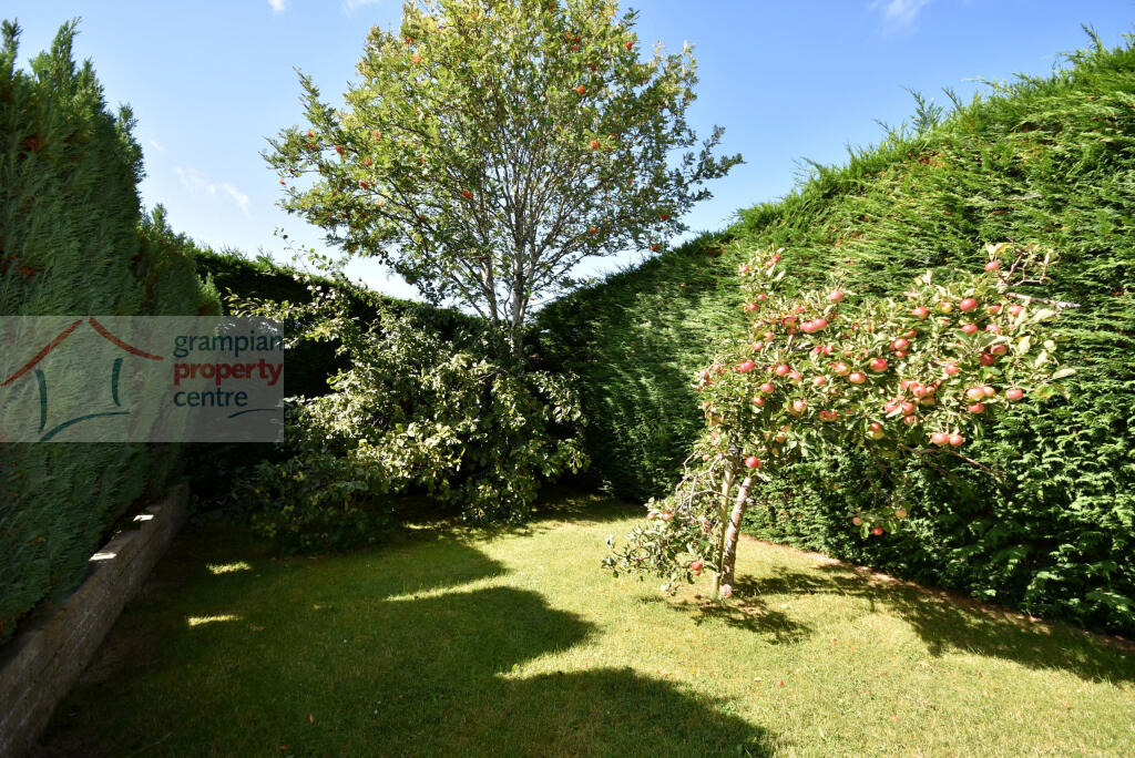 garden 3 .JPG