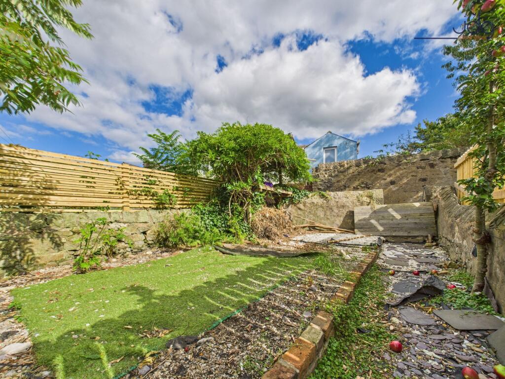 East facing Garden with fruit trees