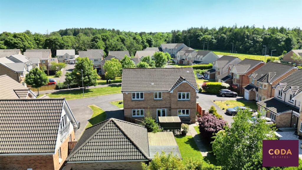 DJI_0475.jpg
