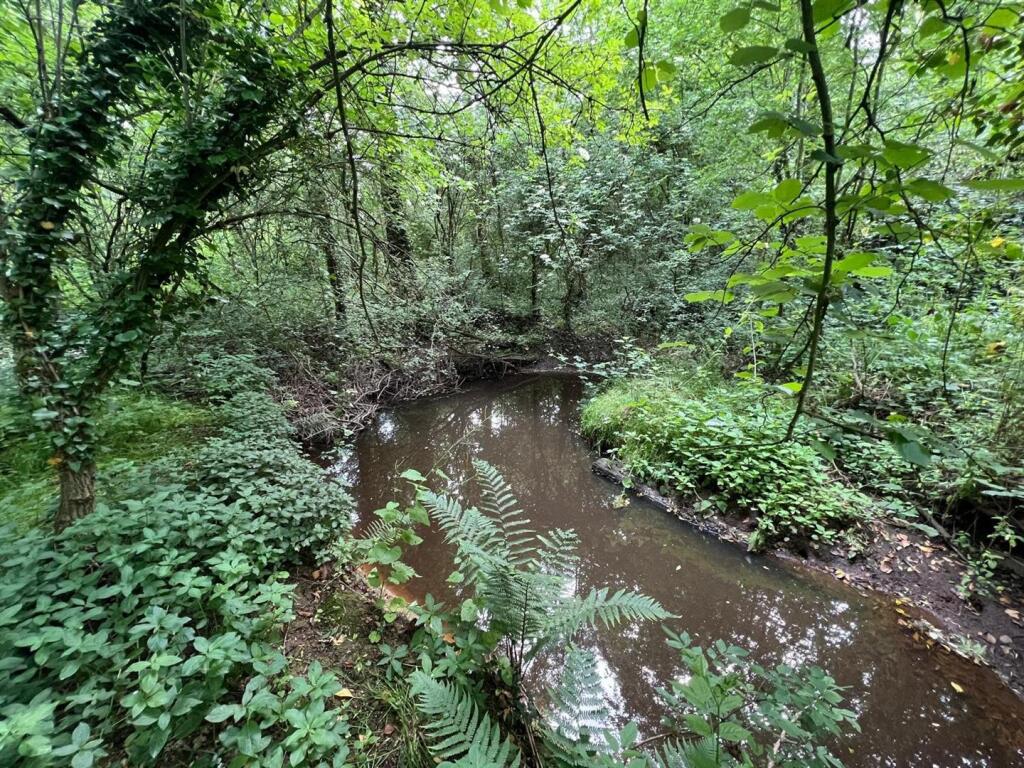 photo 1.jpg