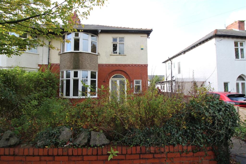 IMG 7147  Medium  T202510301105.jpg