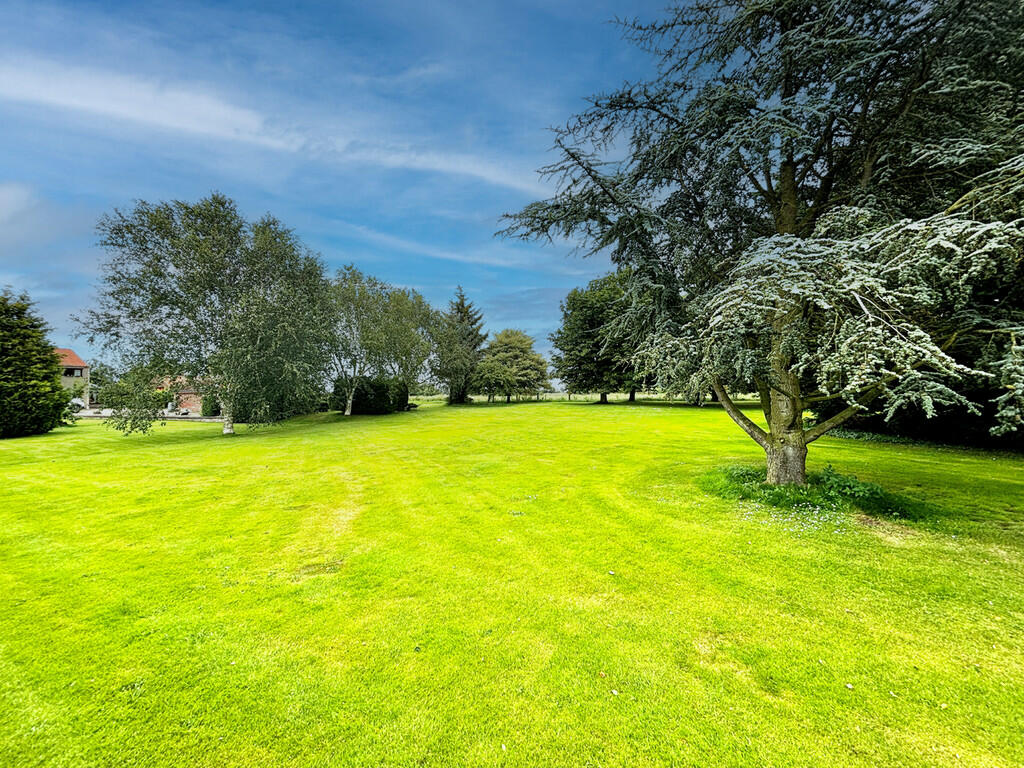 Extensive Grounds