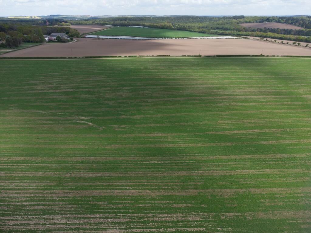Fields to Front of Property