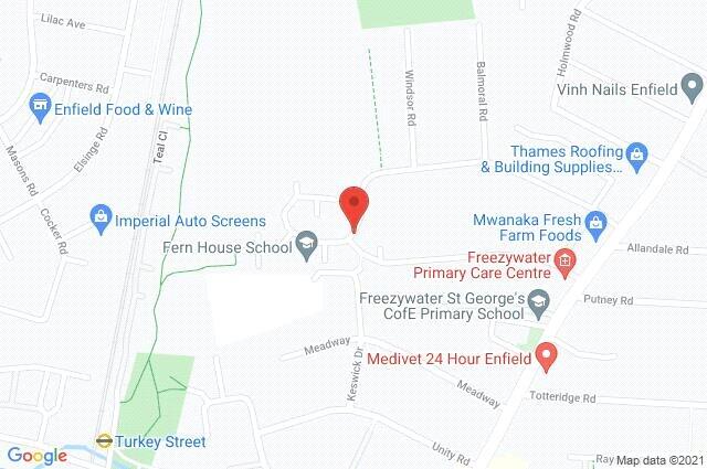 Google Maps Image