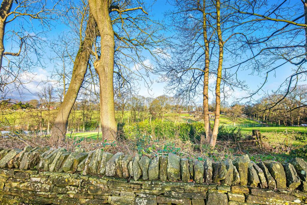 Park view from garden