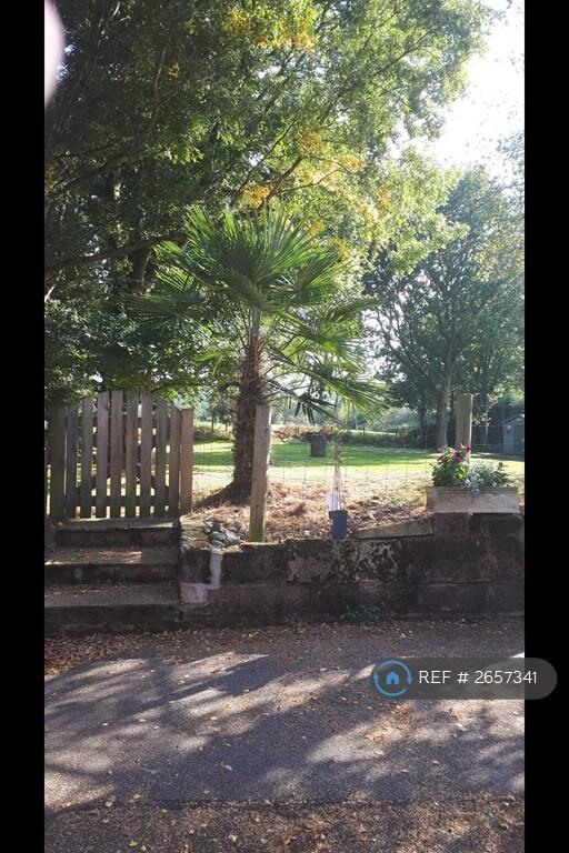 Shared Paddock &amp; Whitegate Way