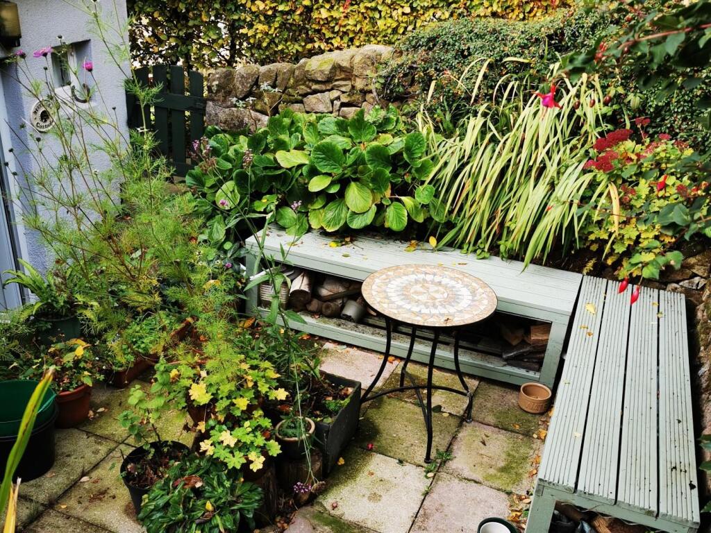 IMG_20251030_104708 copy.jpg