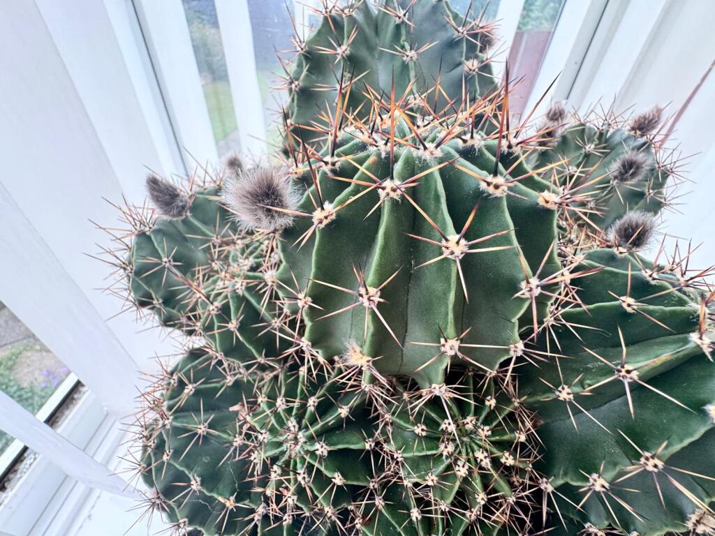 4383b108-cfe4-47db-a71e-72a84f4acc4f