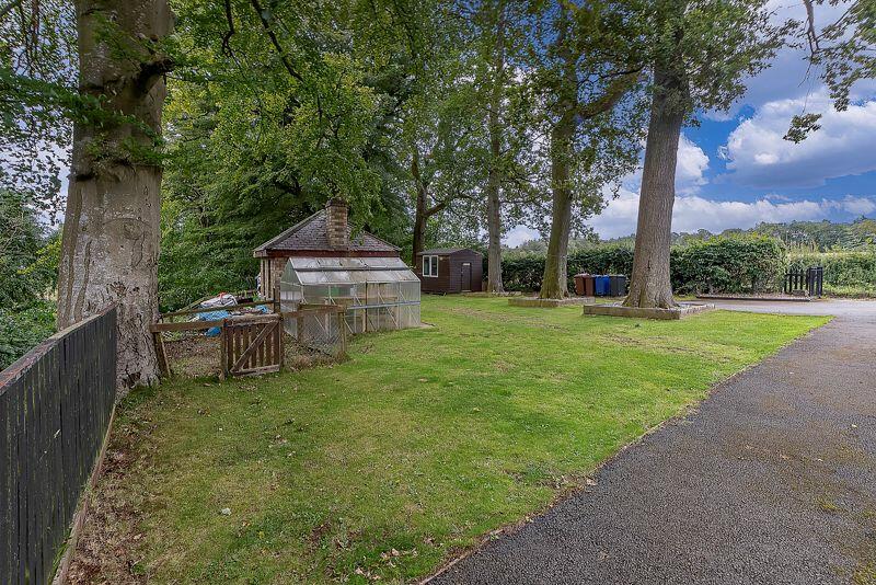 Back Garden