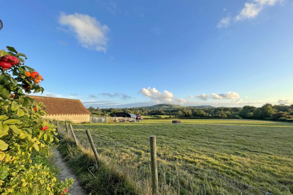 Local walk with views