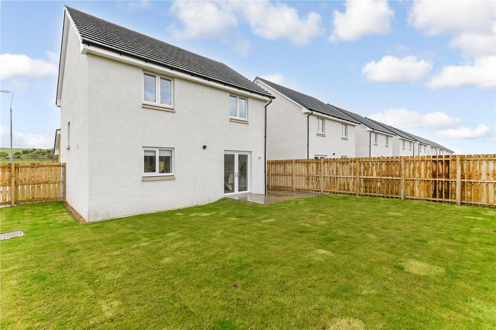 Back Garden