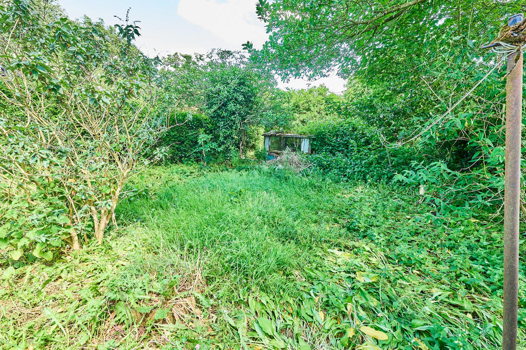 P1462906 T202506021859.jpg