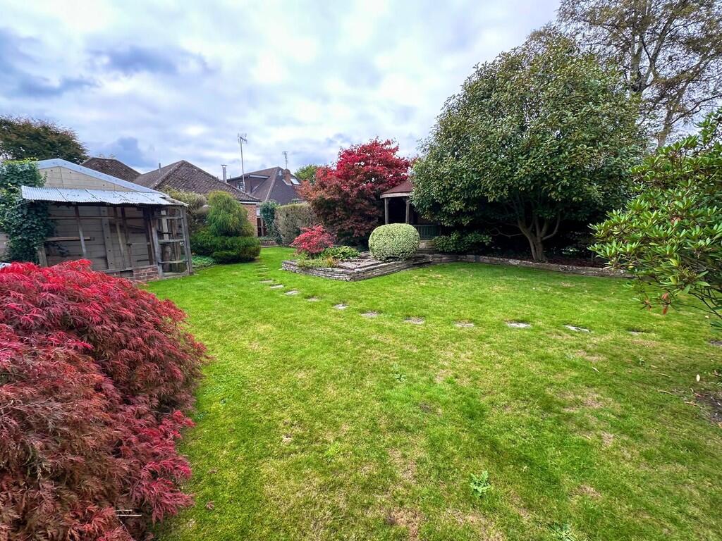 IMG-20251019-WA00...