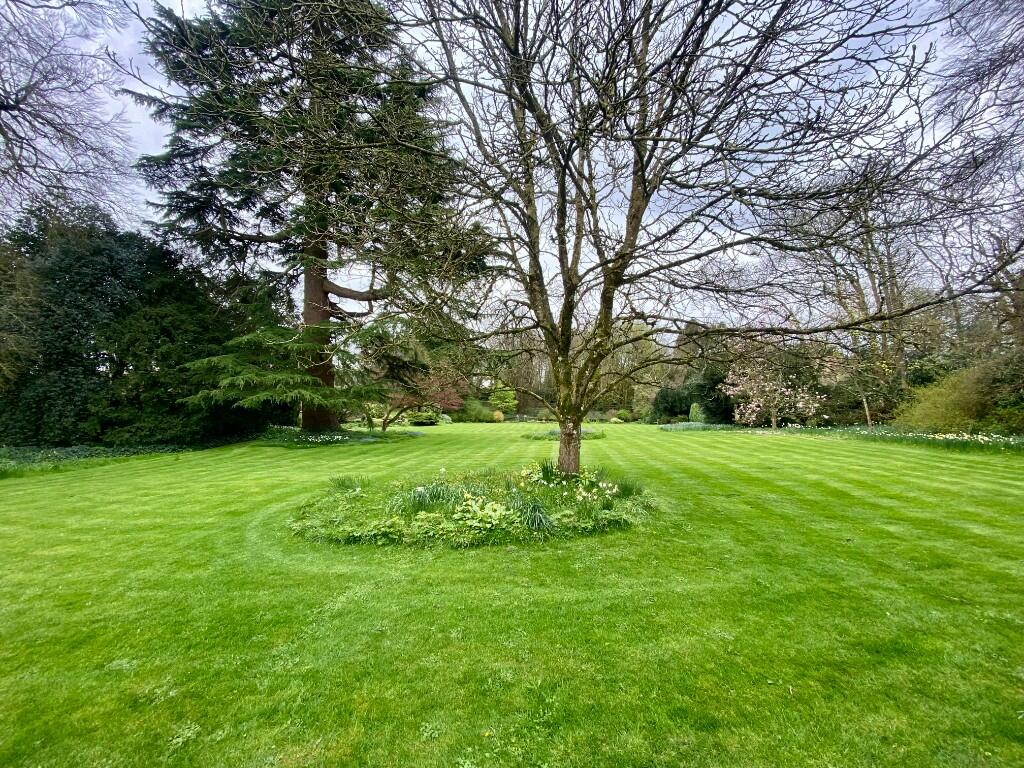Communal Grounds