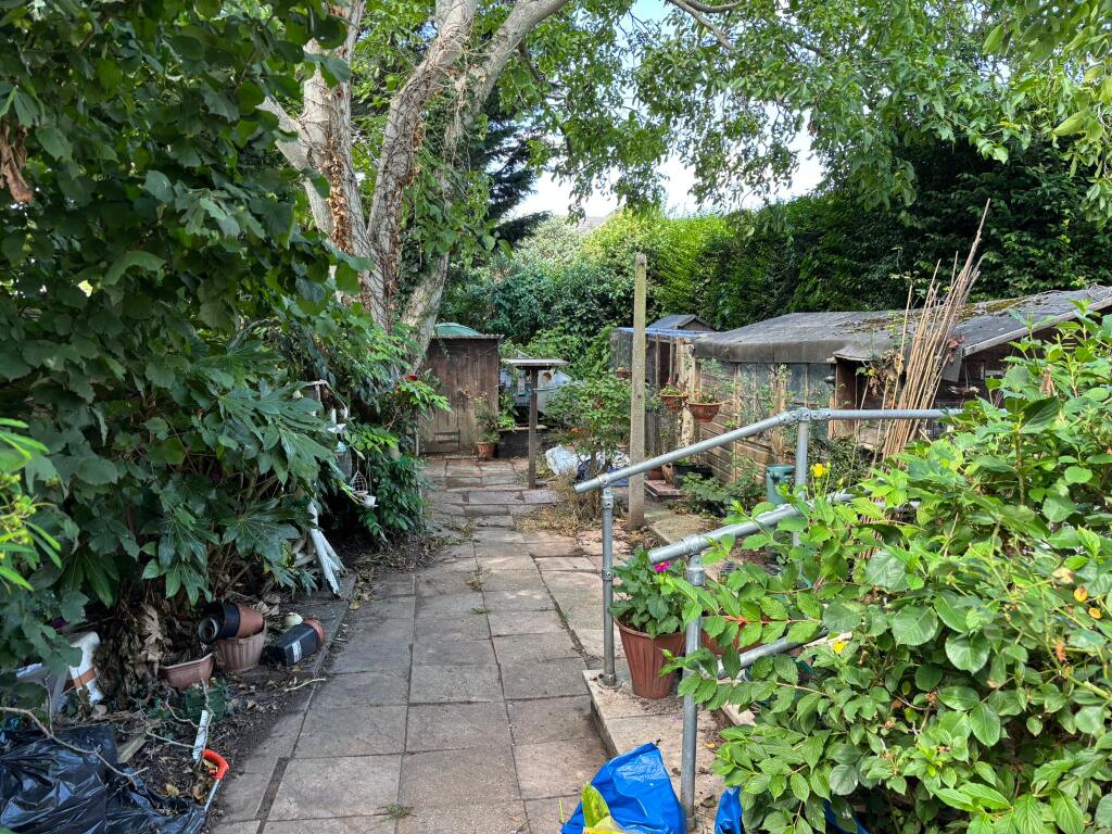 11. Rear Gardens