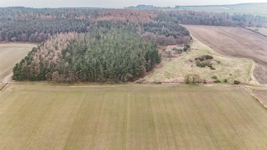 dji_fly_20240307_105920_0005_1709809632581_photo.j