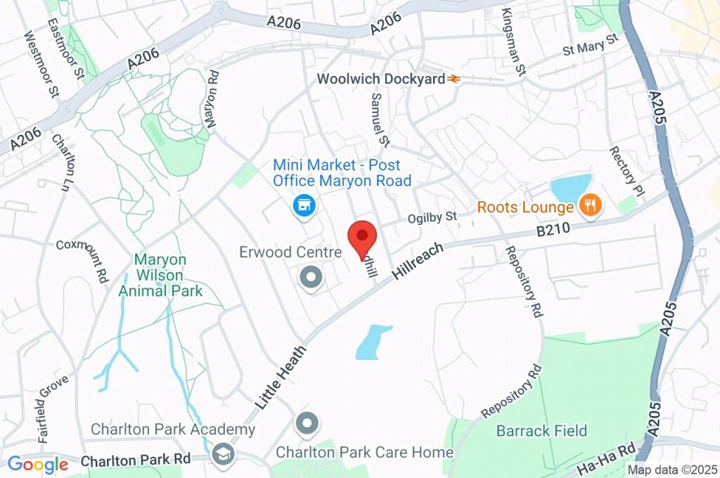 Google Maps Image