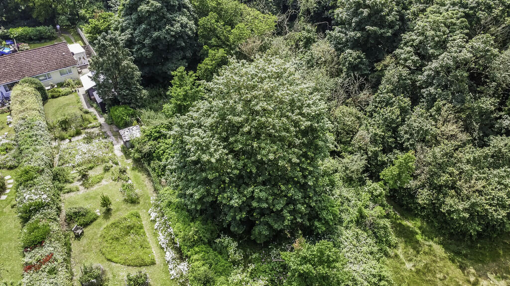 DJI_0258-Edit