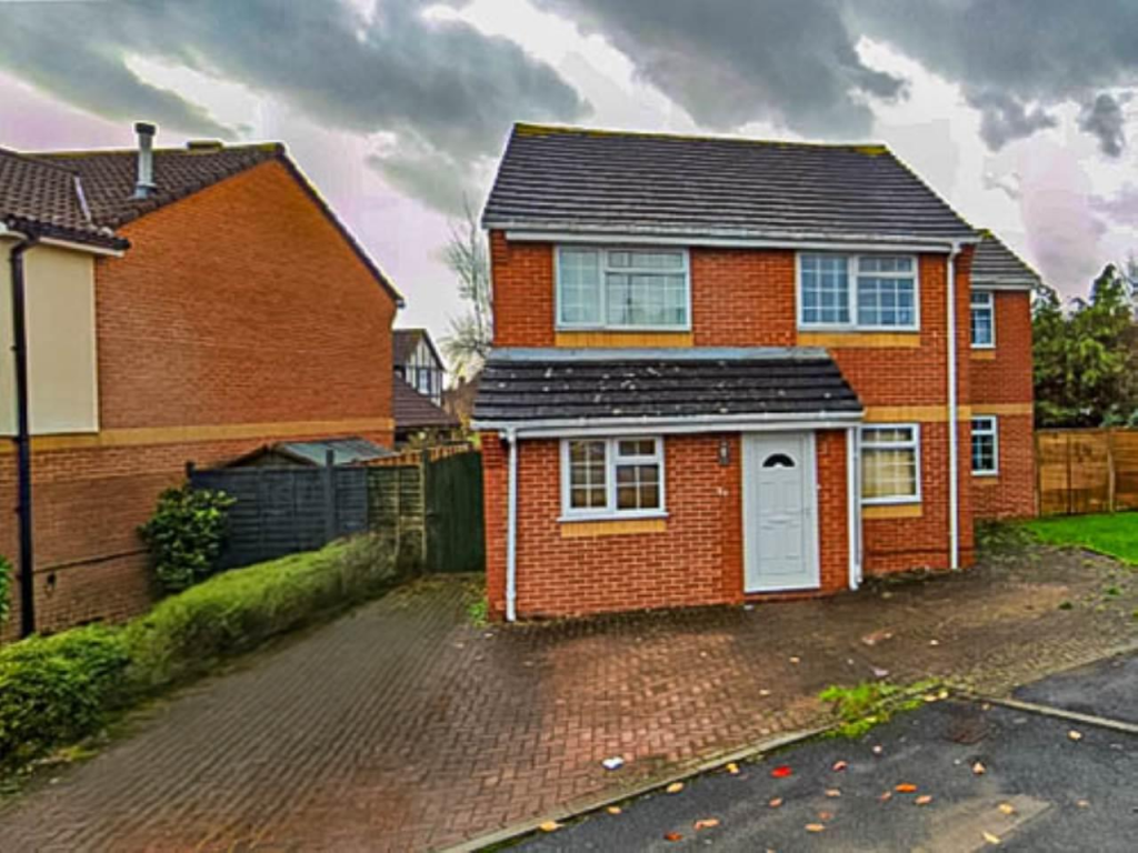 31 watch elm new.png