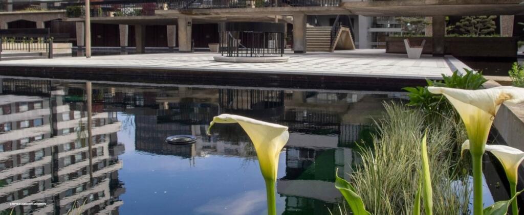pond